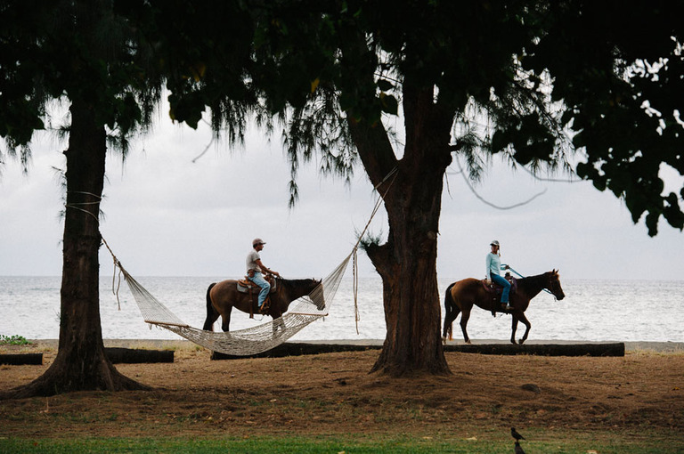 kauaiweddingphotographer_michelleschmidt0375