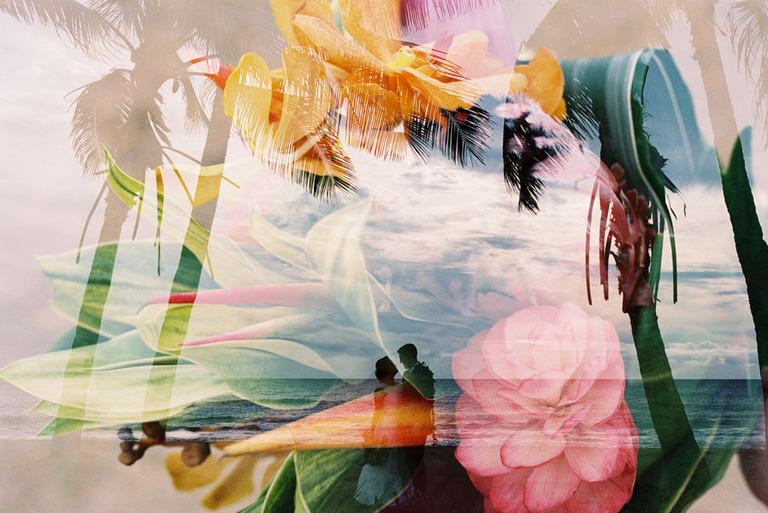 kauaiweddingphotographer_michelleschmidt0378